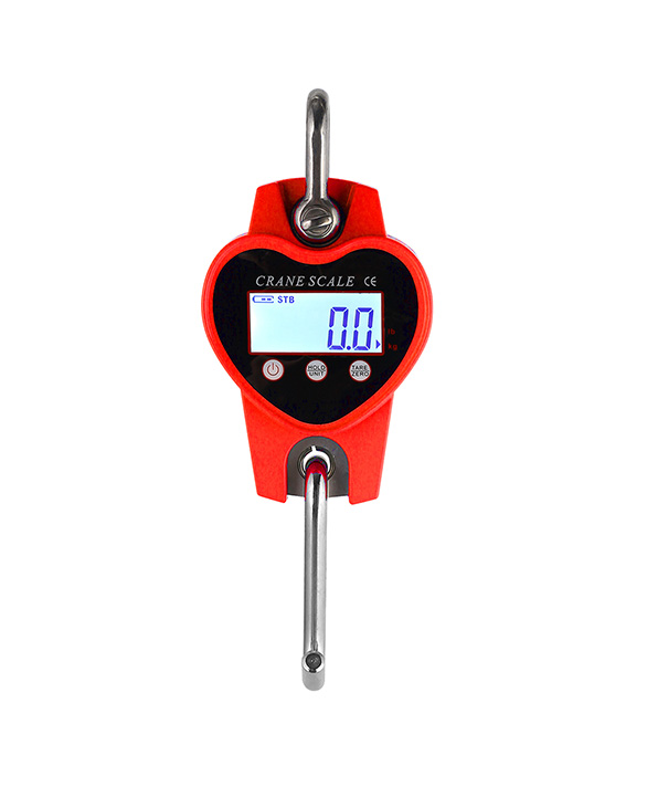 PCS Mini crane scale